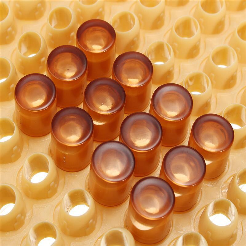 Beekeeping Tools Set Rearing System Cultivating Box 110pcs Plastic Cups Bee Nicot Complete Catcher Cage Beekeeping Tools