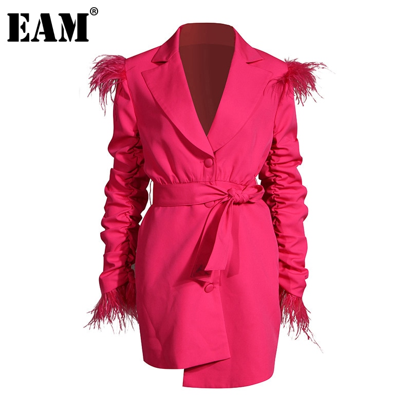 [EAM] vestido de temperamento Irregular de plumas plisadas para mujer, vestido holgado de manga larga con muescas, tendencia a la , primavera otoño 1DA242