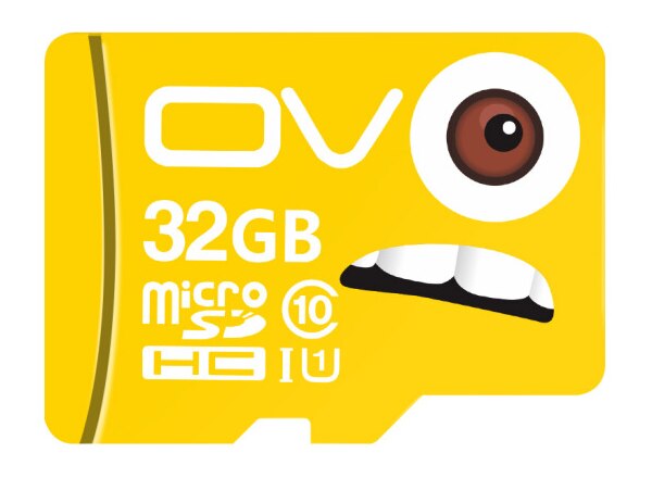 OV TF carte microsd 16GB 32GB 64GB 128GB carte mémoire Flash SDHC C10 80 M/s 100% Original authentique pour la conduite enregistreur téléphone portable: 32G