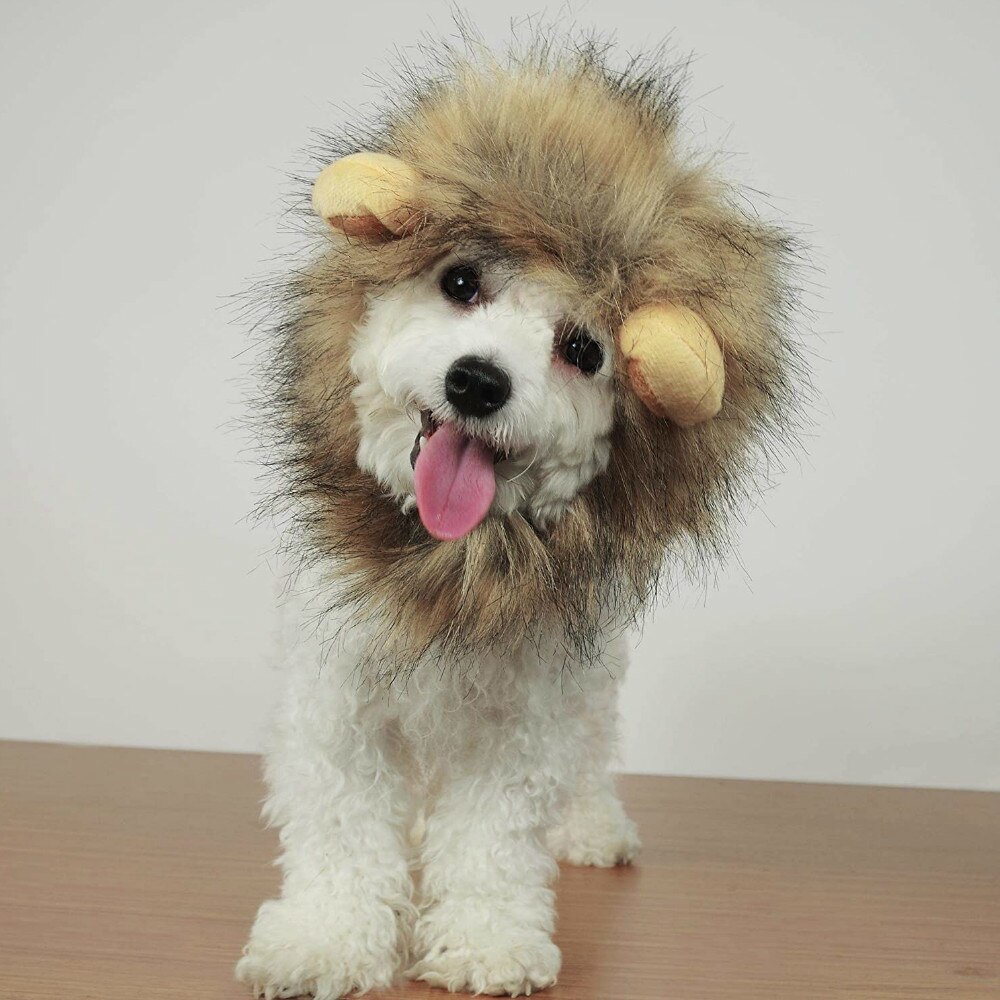 Drôle mignon chat de compagnie Costume Lion crinière perruque chapeau pour chat chien Halloween noël vêtements déguisement avec oreilles vêtements pour animaux de compagnie