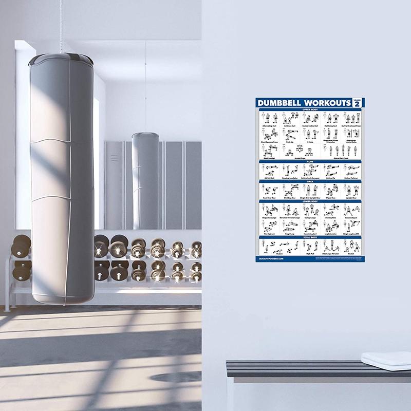 Fitness Workout Posters-Bodyweight Exercise Posters For Body Workout-Core,Abs,Legs,Glutes &amp; Upper Body Training Program