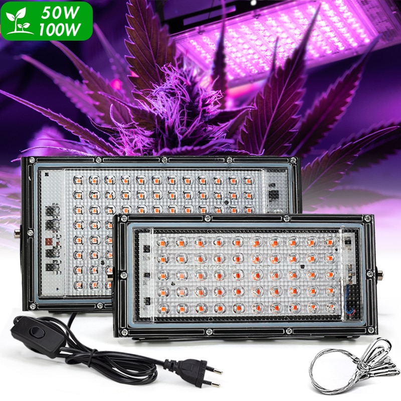 Luz LED de espectro completo para cultivo, lámpara Phyto de 220V, 50W, 100W con enchufe europeo, para invernadero, hidropónico, siembra de flores