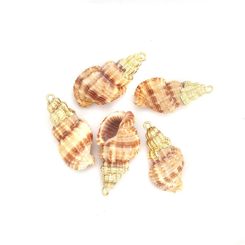 5 PCs Natural Shell Pendants Gold Conch/ Sea Snail Multicolors Charms For DIY Handmade Jewelry Making