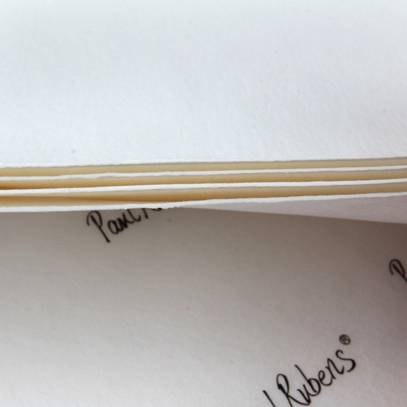 300g Watercolor Paper 100% Cotton 10Sheets Hand Painted Water-soluble Watercolour Drawing Paper for Artist Student Art Supplies