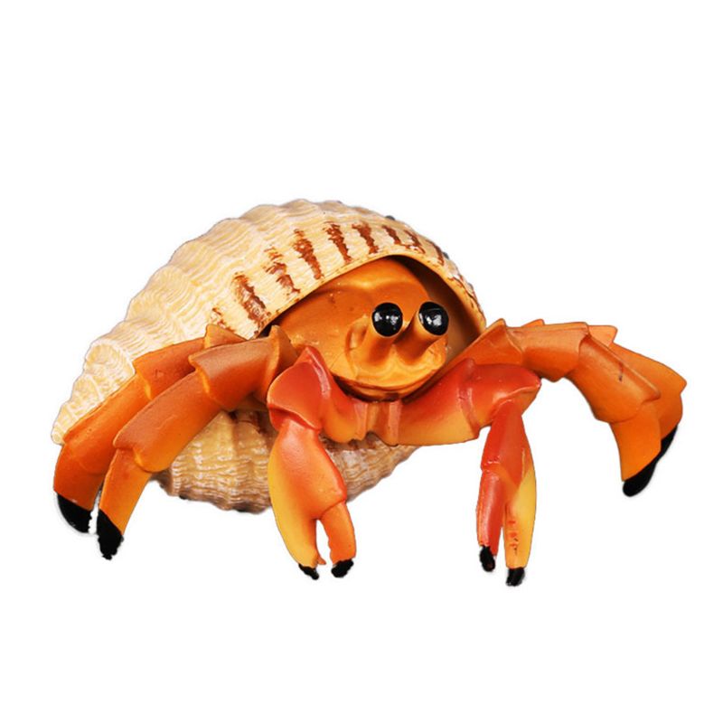 Sea Lifes Hermit Crab Model Toy Simulation Figure ... – Grandado