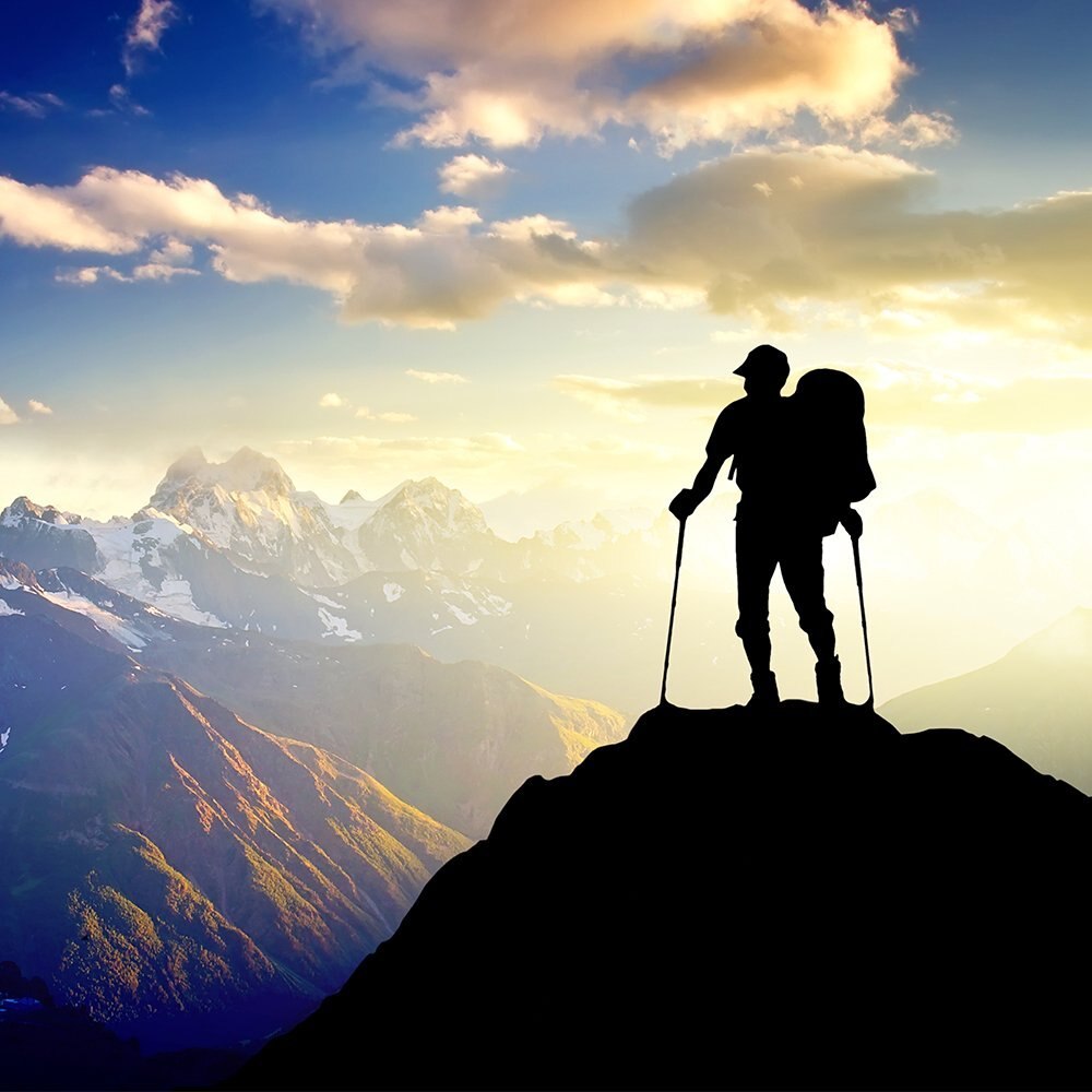 2 Pack Trekking Poles Outdoor Mountaineering Tools Hiking Canes Aluminum Ski Camp Telescopic Wands Mountaineering Essentials