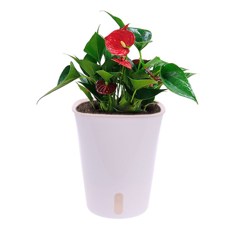 Maceta de riego automático para interiores, maceta para flor, hogar, jardín, balcón, decoración,