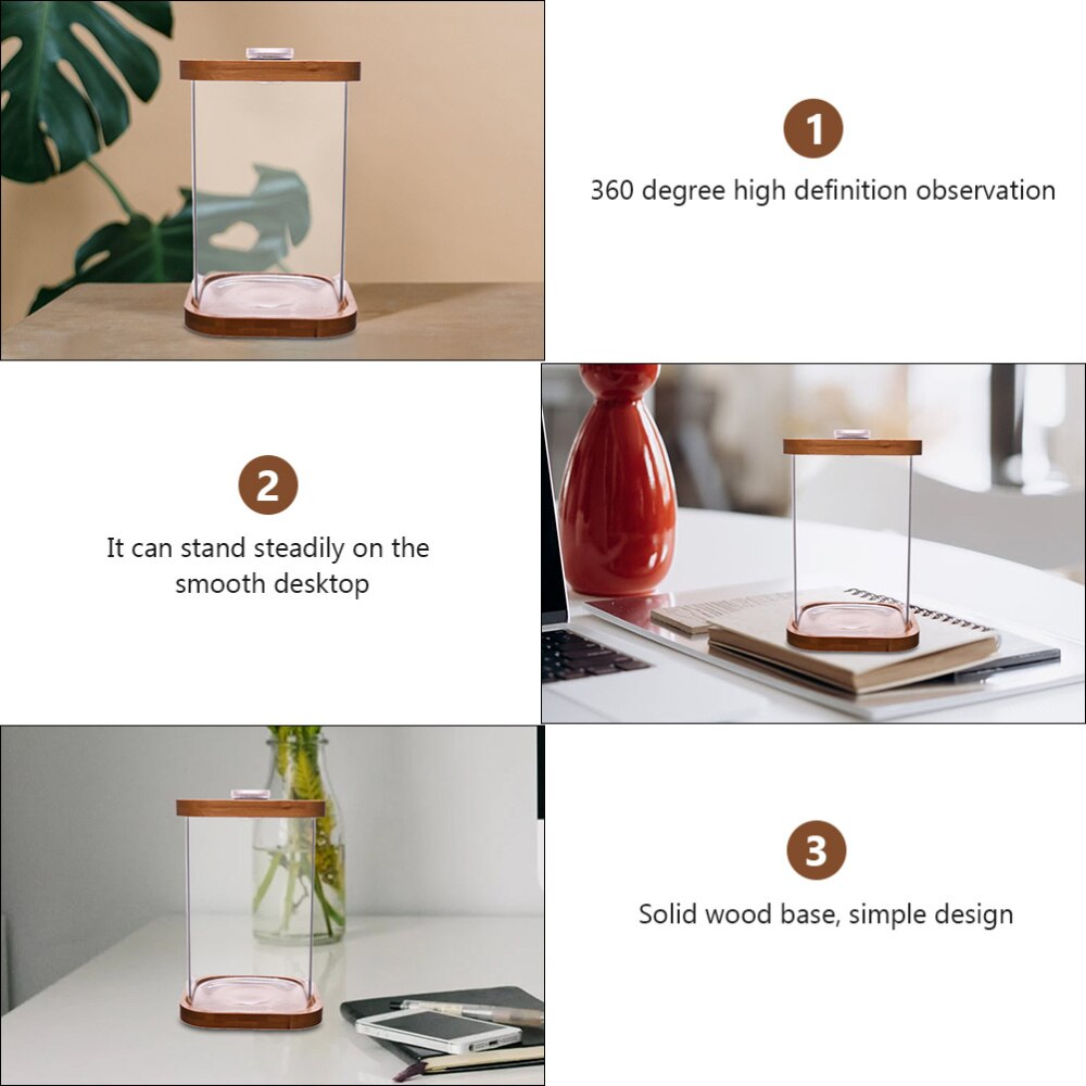 Mini Aquarium carré en verre, 1 pièce, Base en bambou
