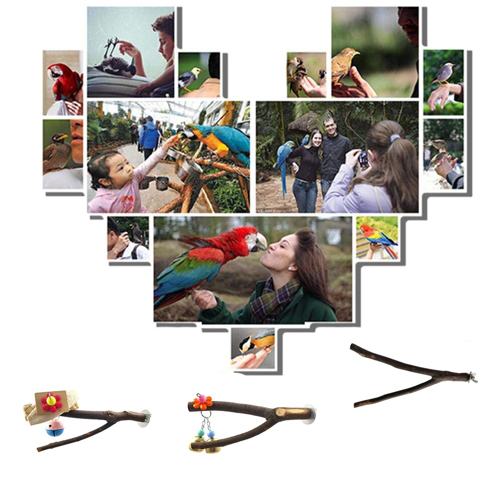 Træ gren bur ornamenter stående stick levesteder legetøj tilbehør kæledyr papegøje parakit klo rack naturlig slibning fugl aborre