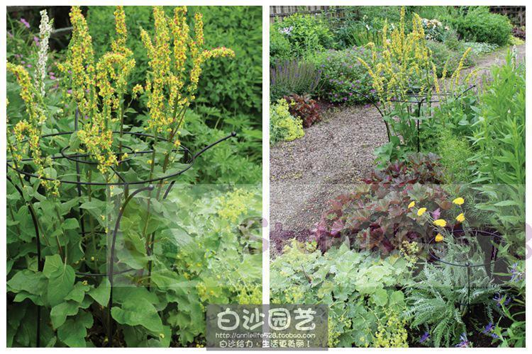 Boeket Type Plant Beugel Smeedijzeren Klimmen Bloem Frame Ondersteuning Hortensia Geschikt Voor Hydrange: 35x60CM 3