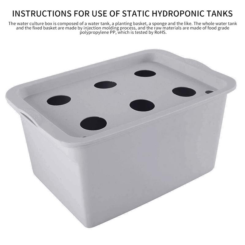 Bac de culture hydroponique pour plantes | 1 ensemble de 6 trous, Site de culture hydroponique pour plantes légumes, Kit de culture de semis de légumes, boîte de jardin d'intérieur