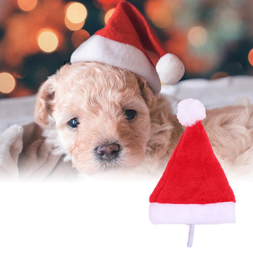 Kerstvakantie Kostuum Pluche Hond Santa Hoed Feestartikelen Decor Xmas