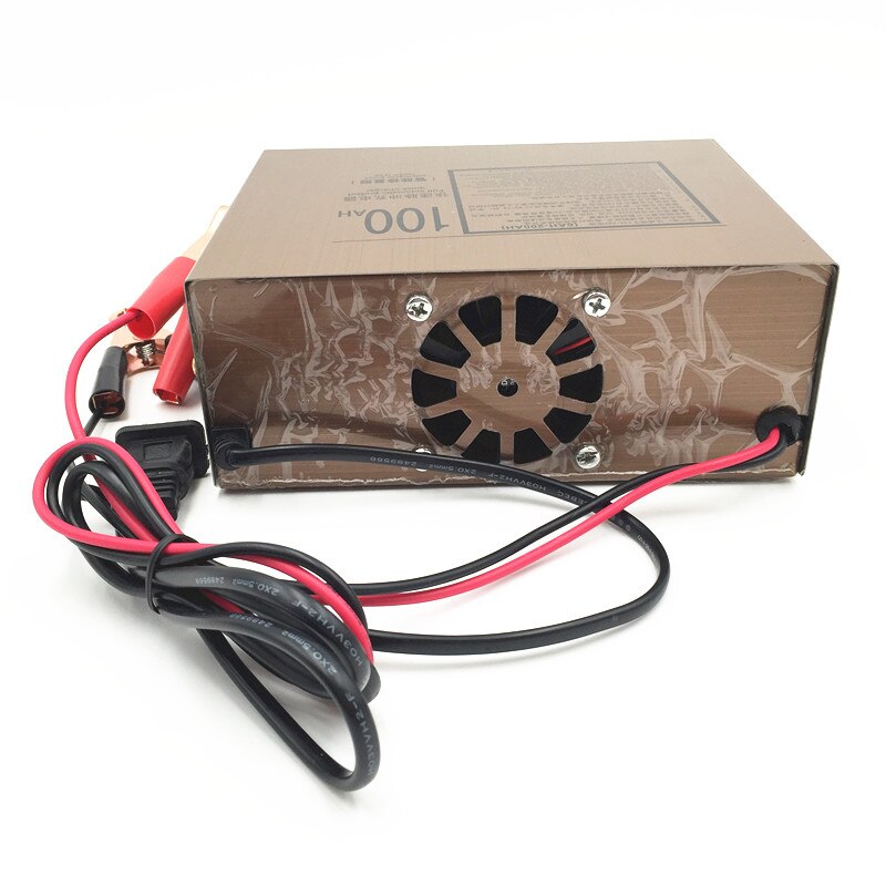 Caricabatterie universale 12V/24V e-bike per auto caricabatteria per auto tipo di riparazione di impulsi caricabatterie universale 12V 20-100AH