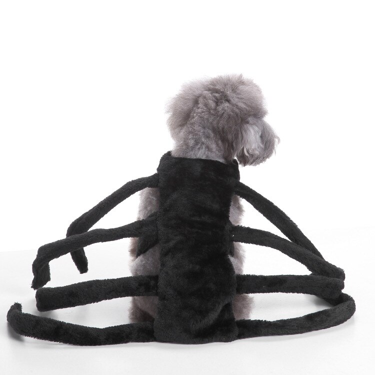 Spider Dog Costume Halloween Costumes for Small Dogs