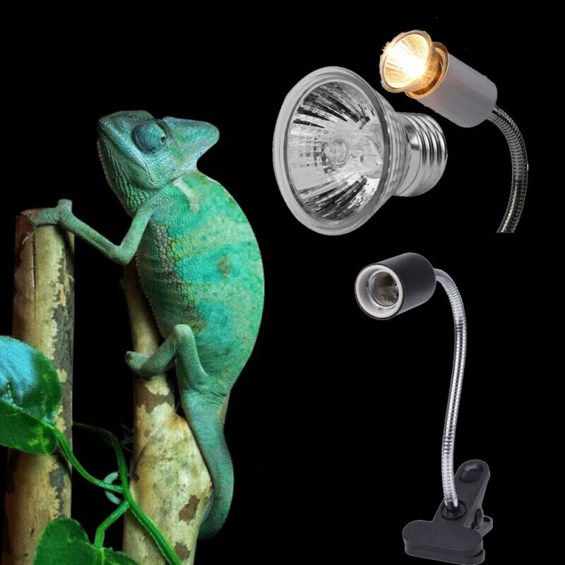 25-100W Uva Uvb Heat Emitter Lamphouder Lamp Licht Heater Voor Reptiel Schildpad Broedmachine