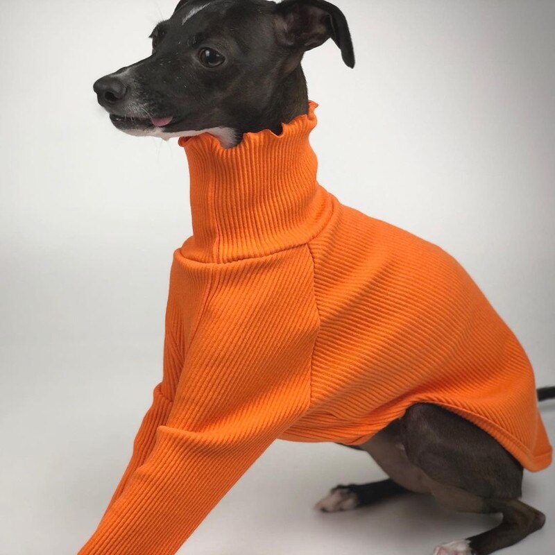 Puhdas väri kaksijalkaisen koiran vaatteet vinttikoira whippet koiran vaatteet koiran takki joustava mukava koiran pyjama
