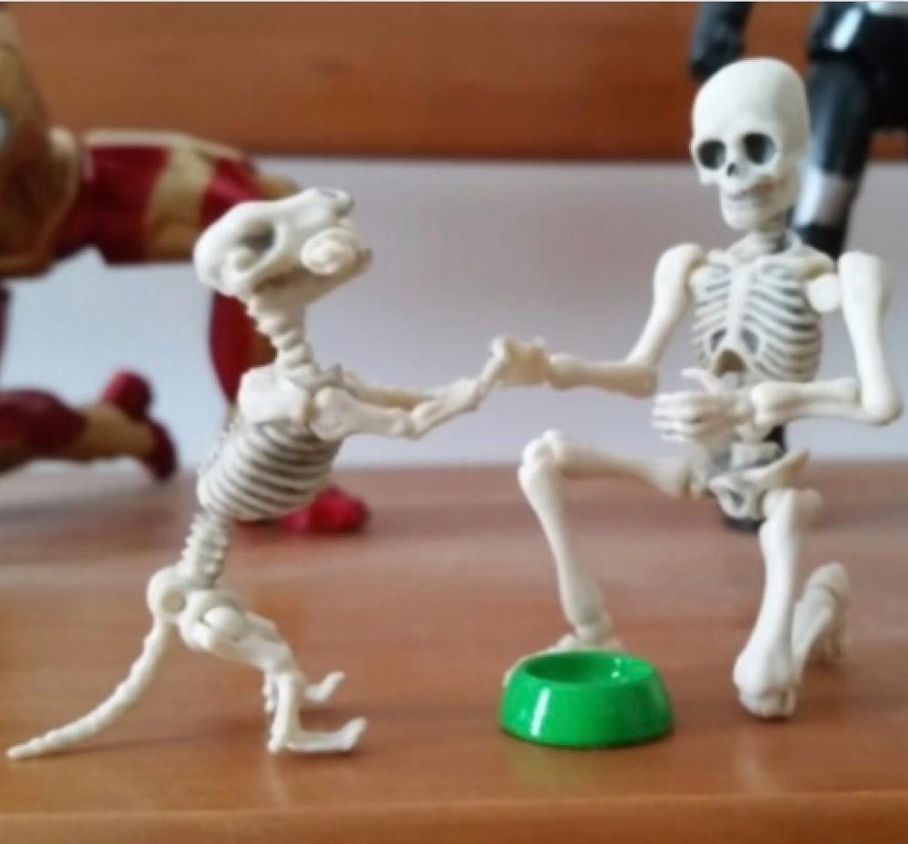 Pan. kość innowacyjna zabawka dla dorosłych dzieci prezenty na Halloween nowe zabawki rodzina szkieletów