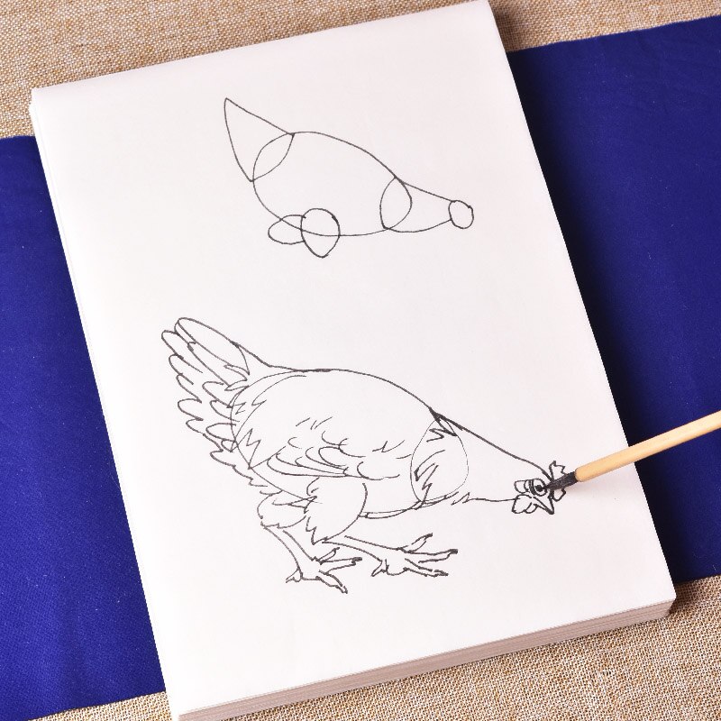 Minutieuze Tekening Manuscript Kleur Rijp Rijstpapier Kip Tekening Praktijk Voor Beginners Chinese Aquarel Schilderen Praktijk