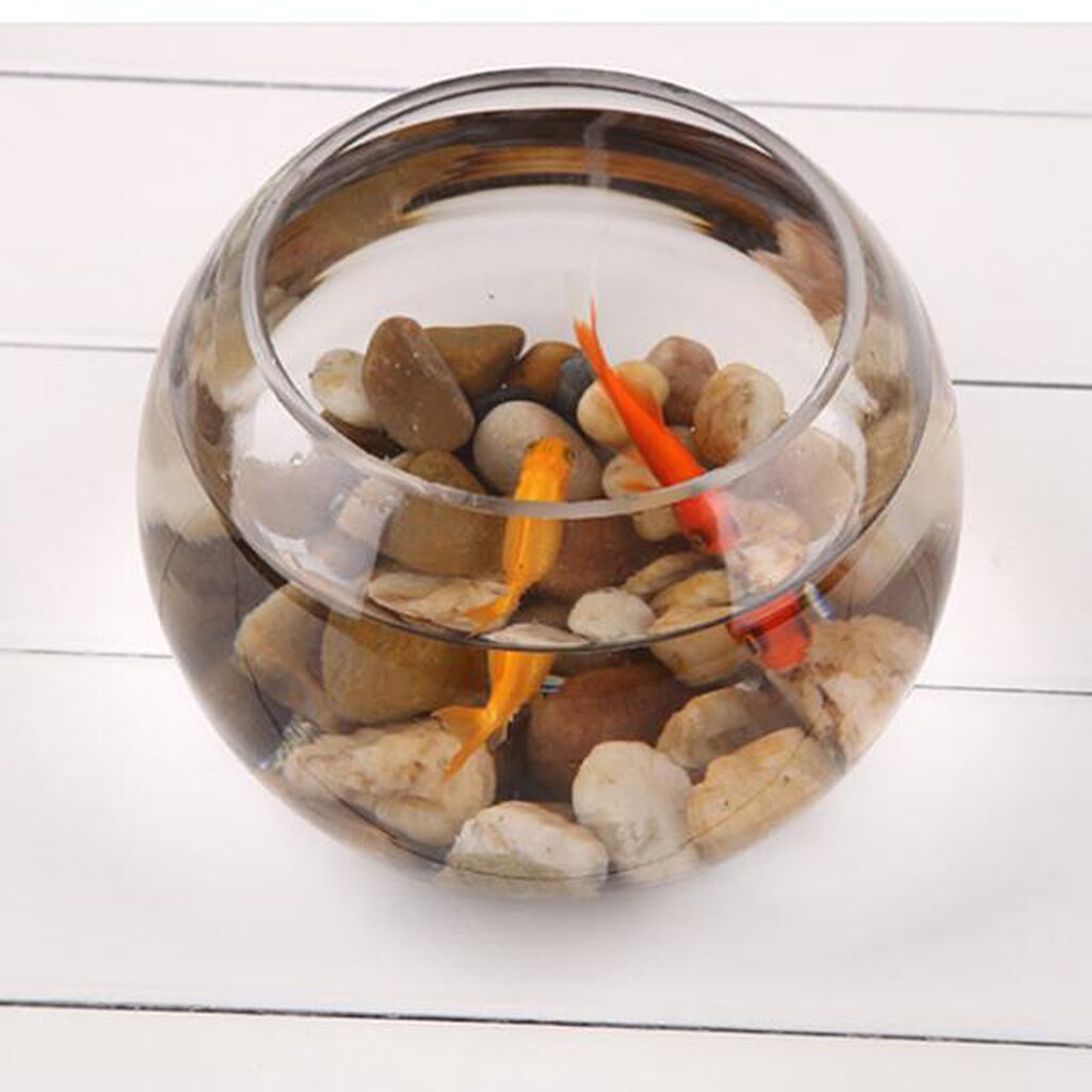 Transparent Clear Glass Tabletop Sphere Flower Vase Fish Tank Container Jar