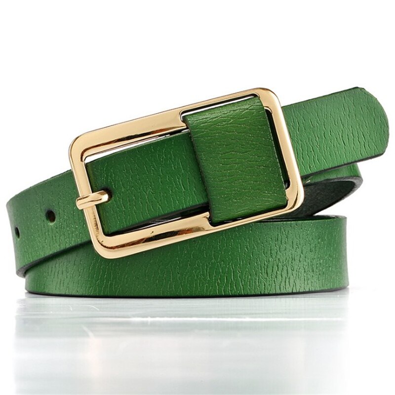 Luxe Riemen Voor Vrouwen Pin Gesp Vrouwen Pu Riemen Ceinture Femme