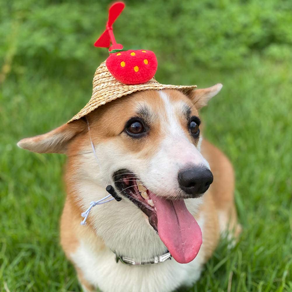 LVTUBANLV Adjustable Cute Mini Pet Sombrero Dog Straw Hat Cat Woven Hat Puppy Sun Bucket Cap for Small Dogs Puppy Cats Supplies