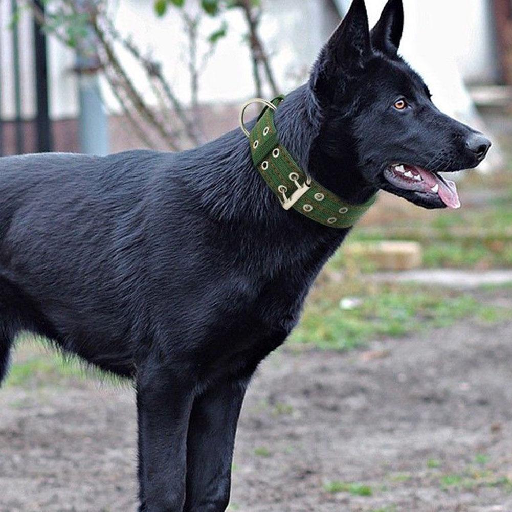 Heavy Duty Grote Hond Kraag Hals Verstelbare Prachtige Pet Lederen Halsband Firm Hond Riem Voor Midden-Grote Hond dierbenodigdheden