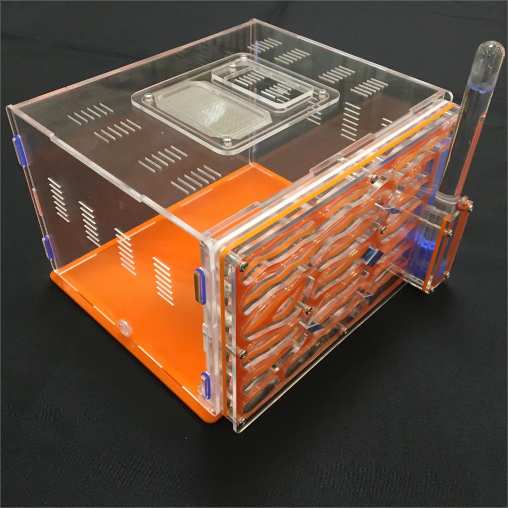 Villa 20*13*18.2 cm grote DIY vocht met voeden gebied ant nest, ant farm acryl, insect mierennesten villa huisdier mania voor huis mieren