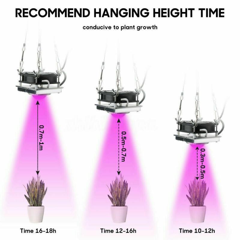 60W Hydroponic COB Growth Light Led Grow Bulb Full Spectrum Lamp Plant Flower Seedling Fitolamp Greenhouse Vegetables Succulent