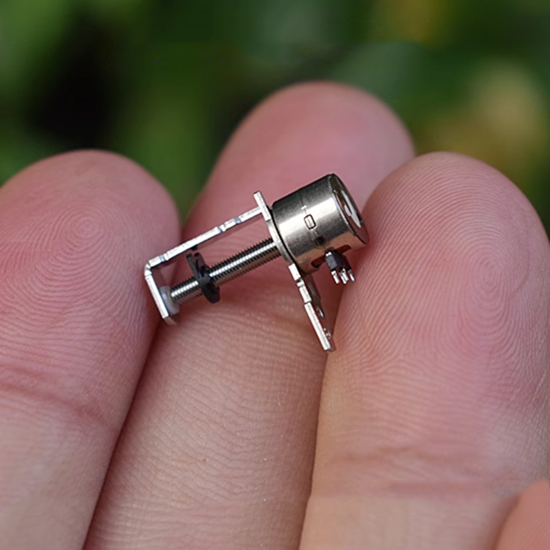 Nidec Mini sehr klein 6mm schrittmotor, mikro-schrittmotor, 2-- phasig, 4- -adrig, mit linearführung, gewindespindel, beweglichem Block und murmeln, diy-kamera