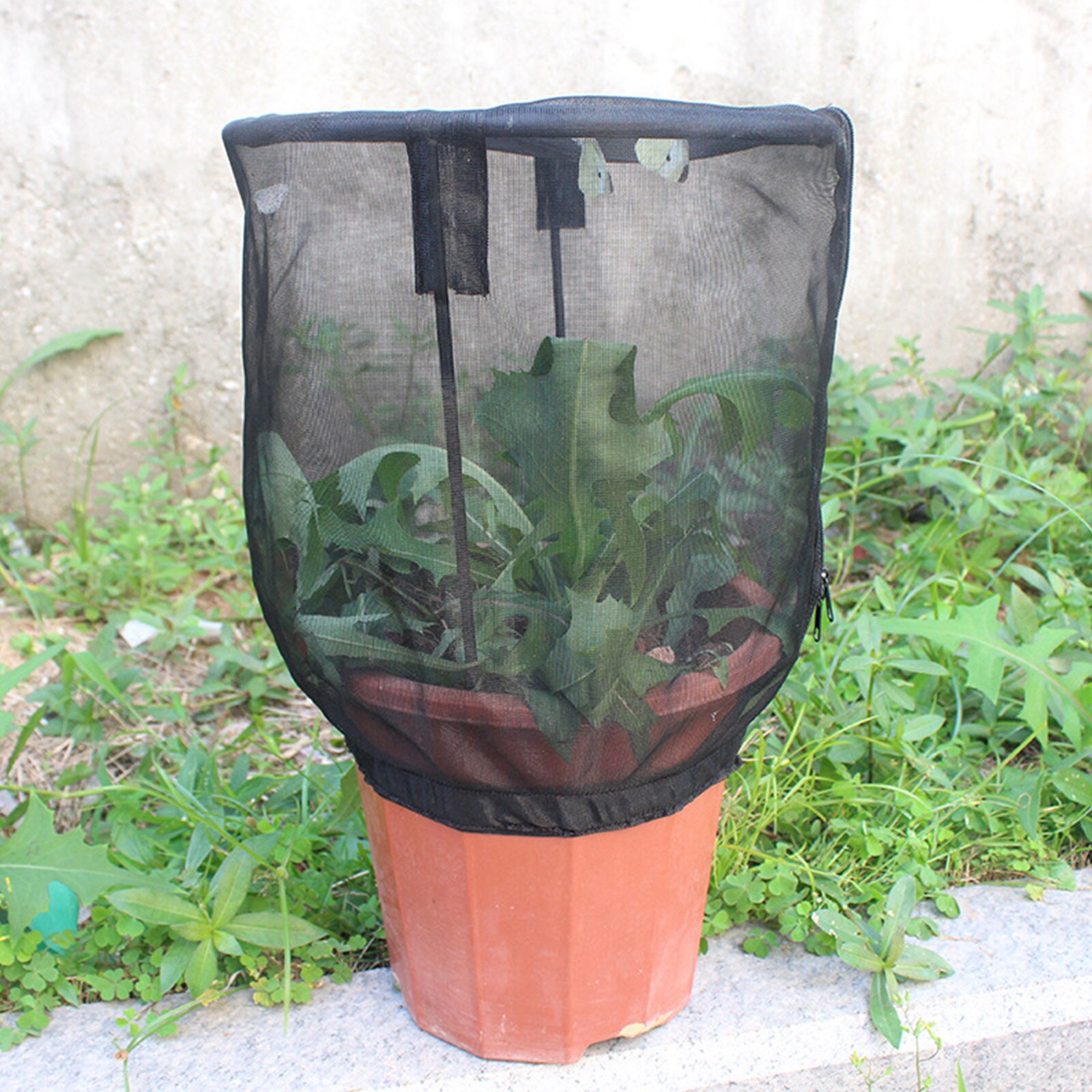 T# Garden Insect Net Cage Butterfly Insect Habitat Feeding Net Cover Flower Pot Ornamental Plant Insect Net Cage Garden Netting