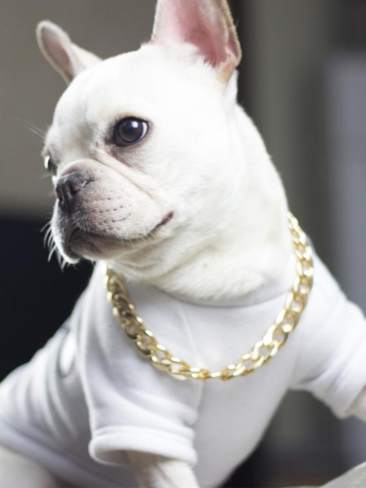 Rostfritt stål hundkedja metallträning husdjurshalsband tjocklek guld silver slip hundhalsband för stora hundar bulldog