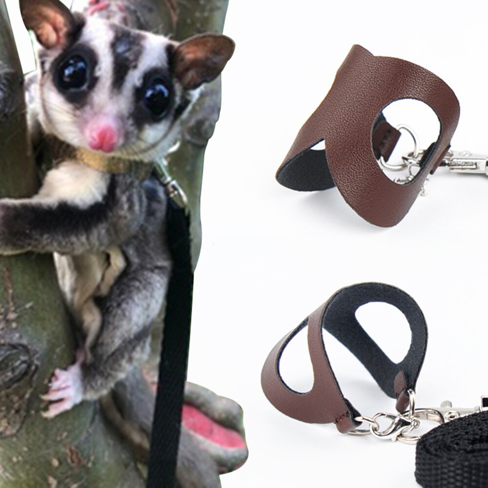 Sugar Glider Outdoor Harness Leash Set Traction Rope Hamster Squirrel Chest Strap Windproof Anti Lost Rope For Small Animals