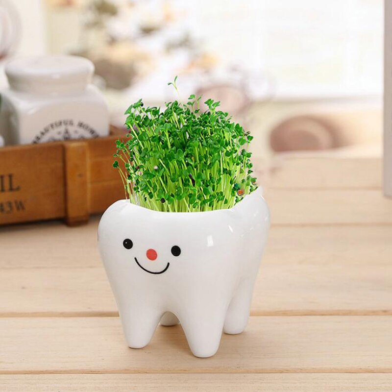 1Pc diente olla de forma Bonsai maceta de cerámica DIY pequeño balcón decoración plantas suculentas blanco macetas de suculentas: RD