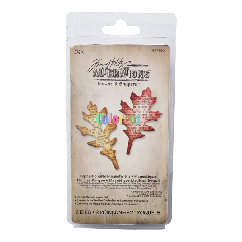 Sizzix Movers & Shapers Magnetic Die 2/Pkg By Tim Holtz-Bird & Cage