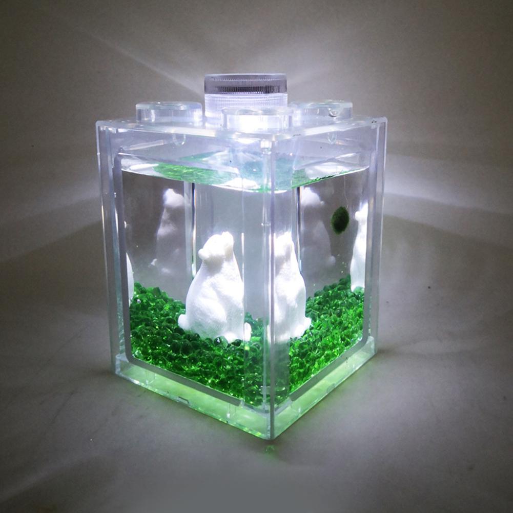 Stable økologiske spand akvarium algekugle edderkop boks lille mini krybdyr række cylinder