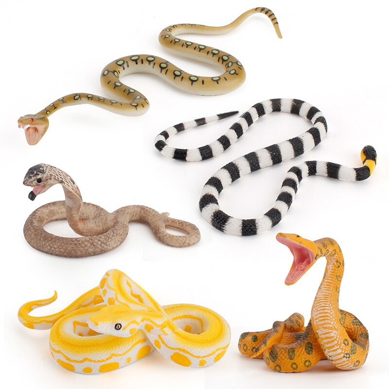 Animals Growth Cycle Life Cycle Model Set Children Cognitive Cobra Toy Accessories Mini Animal Child PVC Figures Dolls Toys For