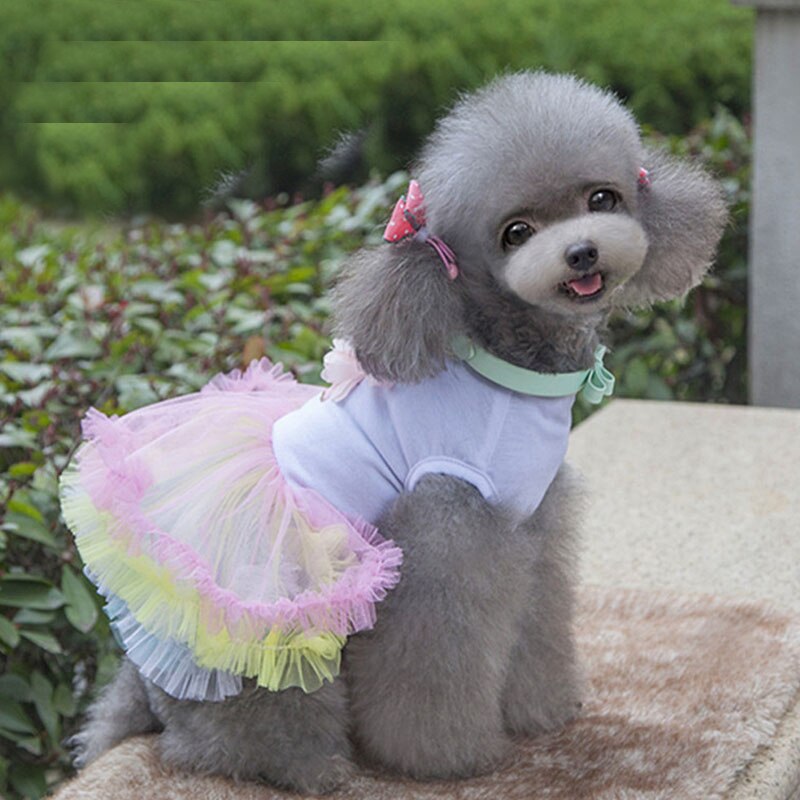 Sommer kjæledyr tøj dot hund kjole til hunde nederdel sommer prinsesse hund brudekjoler york tøj til hunde nederdele pet kat kjole