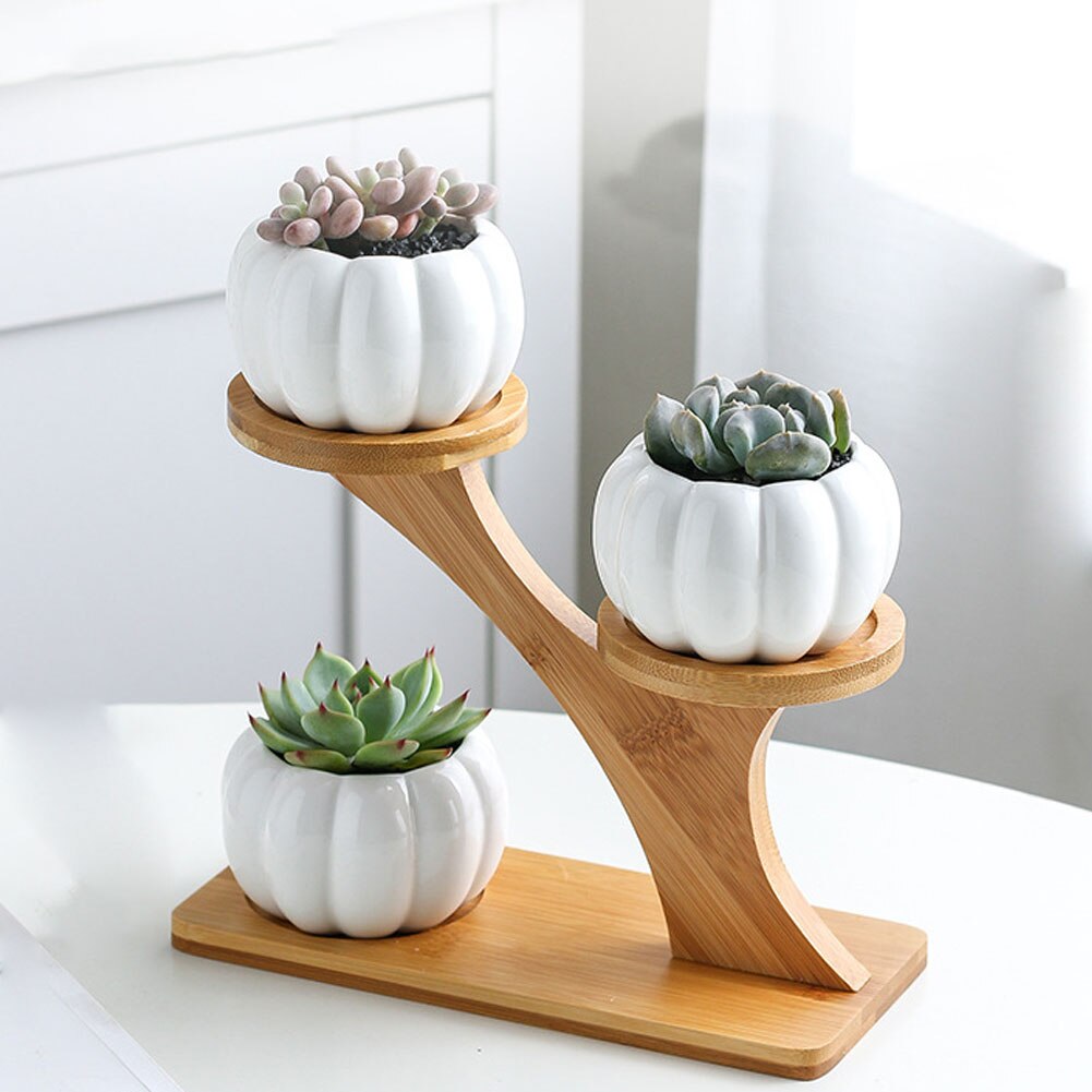 Ceramic Round Succulent Planter Flower Pot Oblate Flowerpot Treetop Bamboo Stand Garden Pots & Planters Flower Pots & Planters