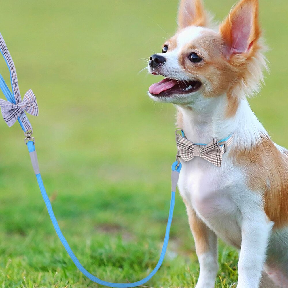 Hundhalsband och koppeluppsättning söta fluga hundhalsband med promenadkoppel för små medelstora hundar födelsedag bröllopstillbehör