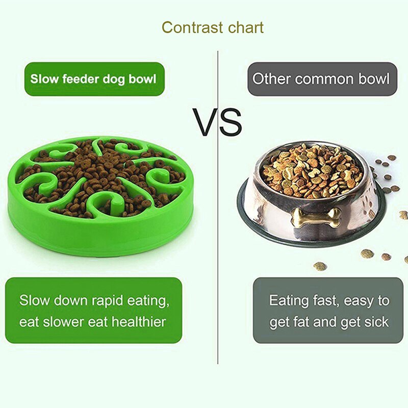 Curated visual reference: Visual Reference: Pet Dog Feeding Food Bowls Puppy Slow Down Eating