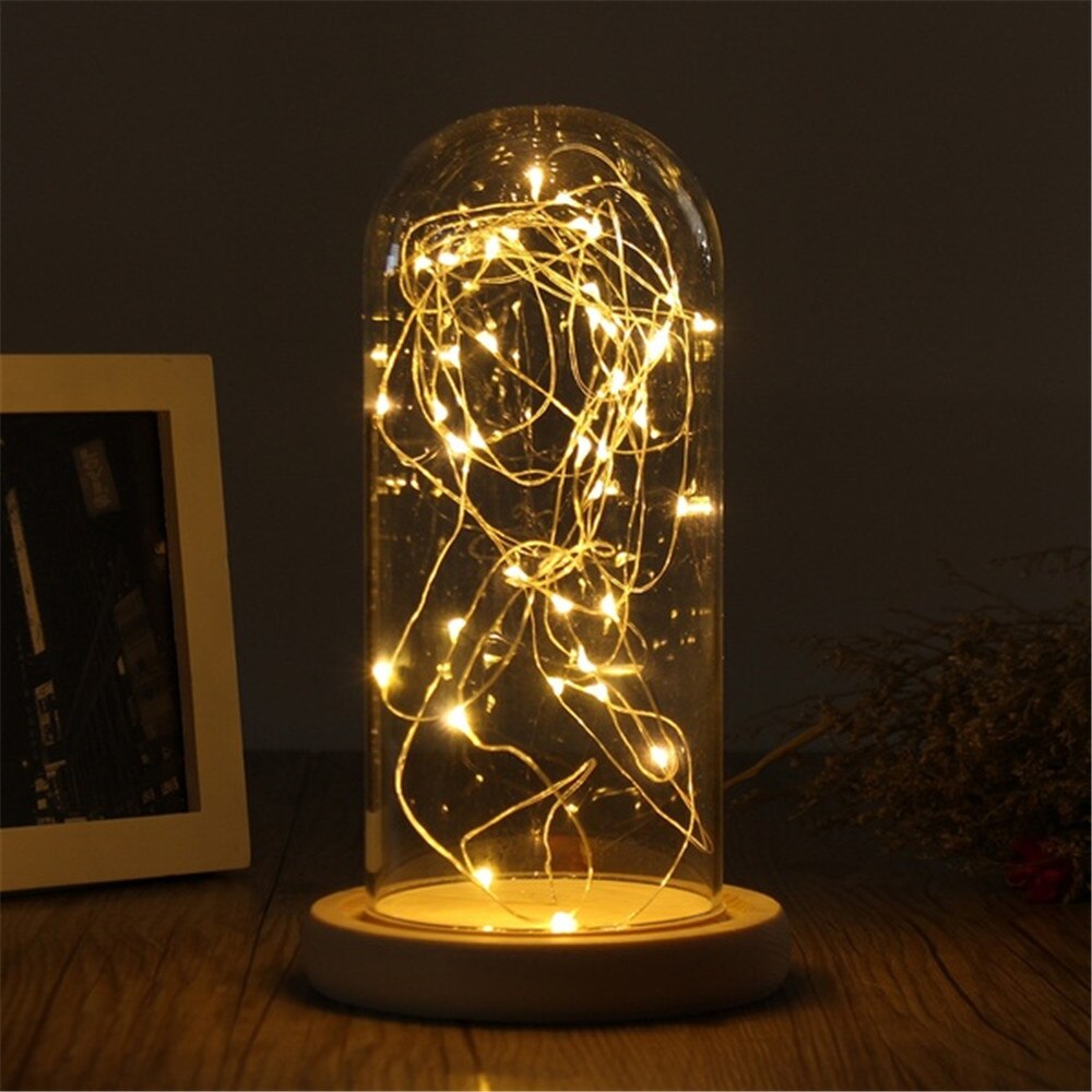 Bouteille de Terrarium avec Base en bois, couvercle anti-poussière en acrylique, Cloche en verre, présentoir Transparent, boîte à fleurs immortelles