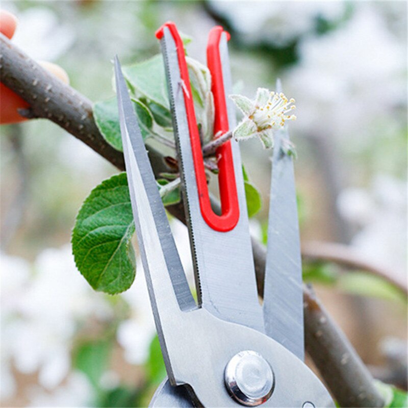Tijeras de doble filo para recoger fruta, herramienta de mano para jardín, DE DOBLE BOCA, para cortar fruta, Kiwi y pera