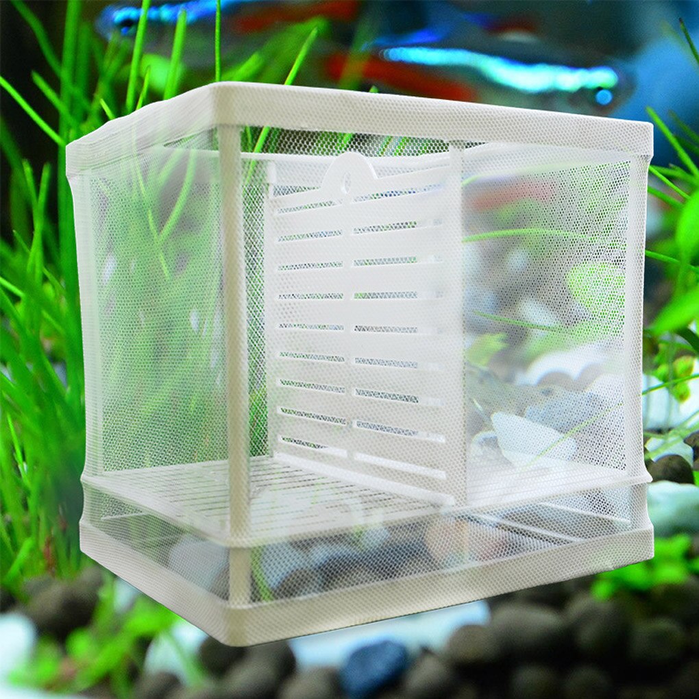 Isolation Mesh Box Suction Cup Fish Breeding Incubator Net Aquarium Hanging Hatchery Box