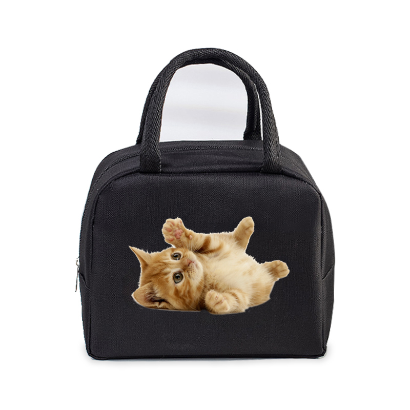 Lunch Bag for Women Men Insulated Portable 3D Cartoon Cats Multifunctional Bag Thermal Food Container School Kids Picnic Handbag: FIOLETOWY