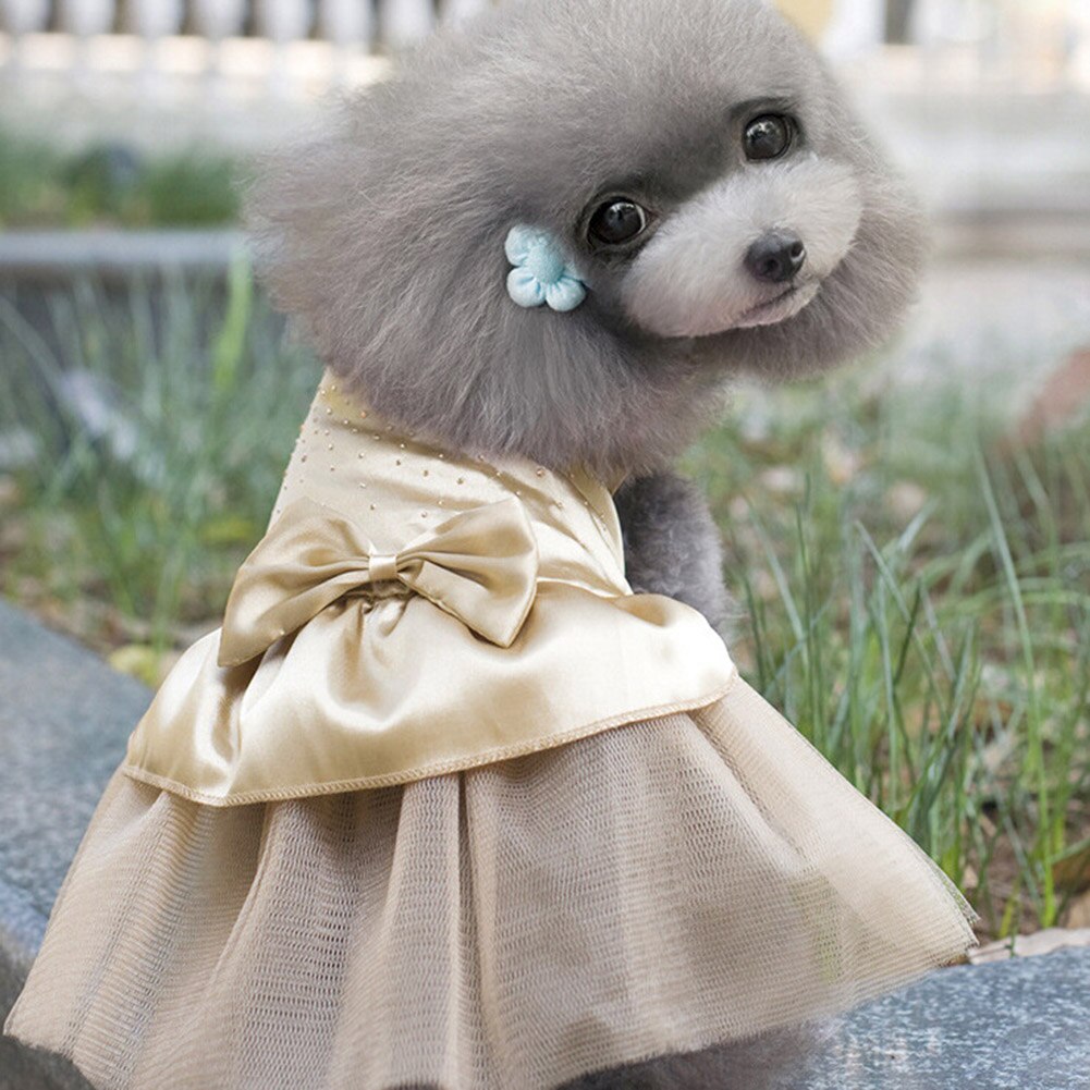 Pure Color Wedding Dog Dresses For Small Dogs Chih... – Vicedeal