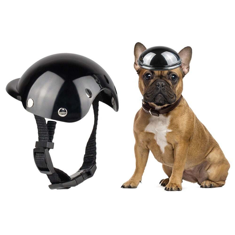 Casque de moto pour animaux de compagnie, diadème pour chien, petit et moyen gabarit, bouledogue français, Chihuahua, coiffure de chat, accessoires Photo amusants