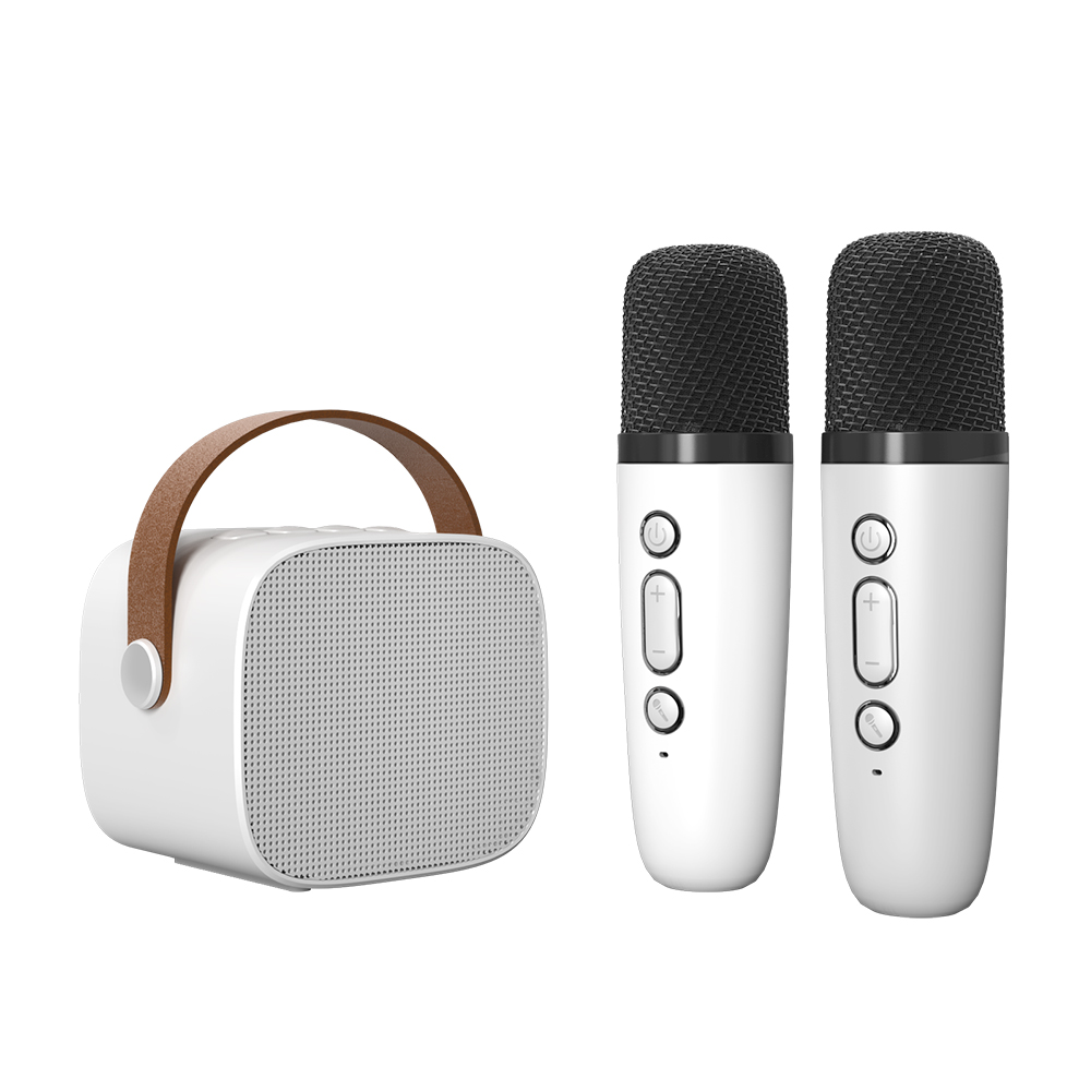 Luidsprekermicrofoons Bluetooth Karaoke-machine Miniluidspreker 5.3 PA-systeem Draagbare Bluetooth-luidspreker met draadloze microfoon voor thuis: green