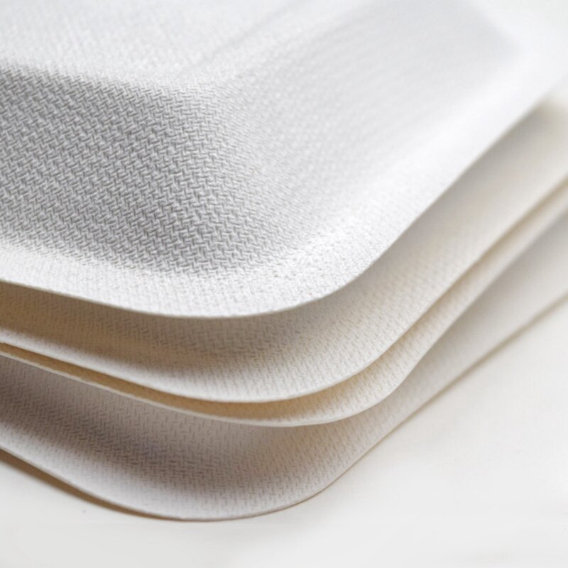 Sugarcane Pulp Plate Pulp Plate Disposable Cake Plate Small Square Plate 100 Pack Degradable Paper Plate