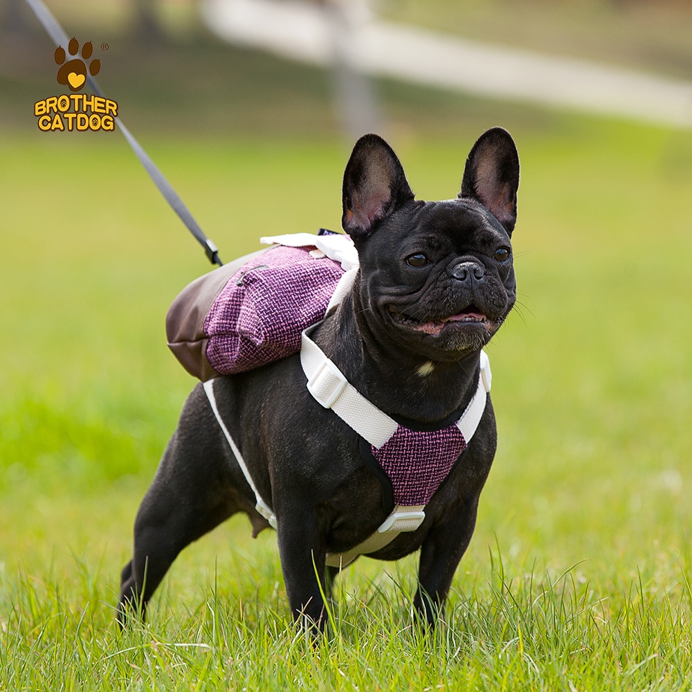 Outdoor Medium Small Dog Backpack Harness Carrier School Bag With Poop Bag For French Bulldog Terrier Bichon Carrying With Leash