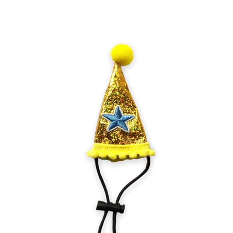 Baardagaam Verjaardag Hoed Leash En Harnas Van Baby Tot Juveniele Verstelbare Lederen Hagedis Walking Leash Sml 3 pack Y5GB: 03